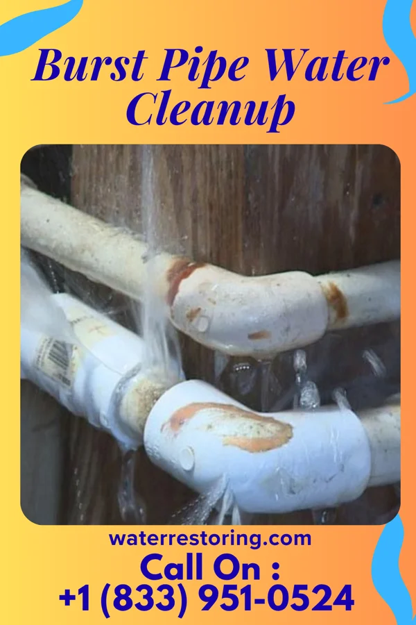 Burst Pipe Water Cleanup in Sandy Hook, WI