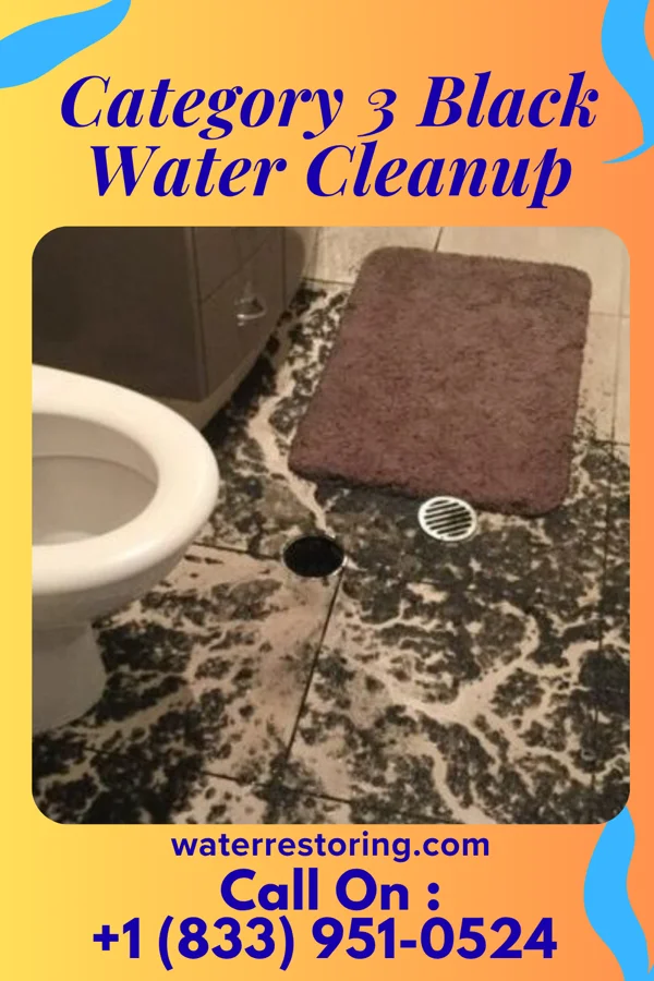 Category 3 Black Water Cleanup in Sandy Hook, WI
