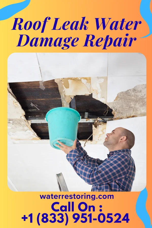 Roof Leak Water Damage Repair in Sandy Hook, WI