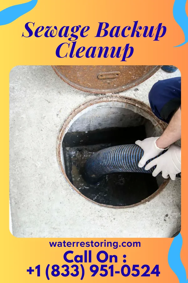 Sewage Backup Cleanup in Sandy Hook, WI
