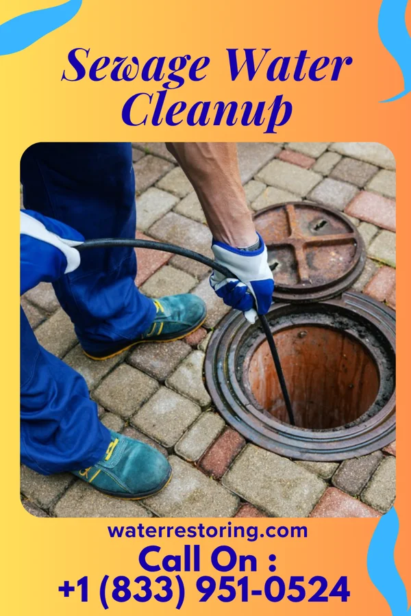 Sewage Water Cleanup in Sandy Hook, WI